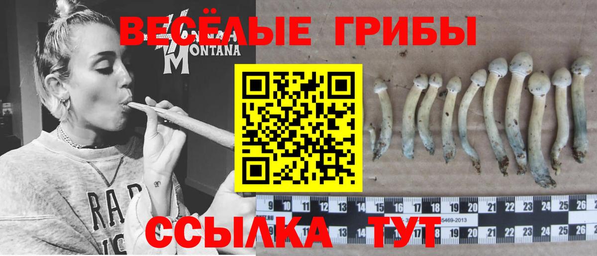 Галлюциногенные грибы прущие грибы  Вход с VPN  Кемерово 
